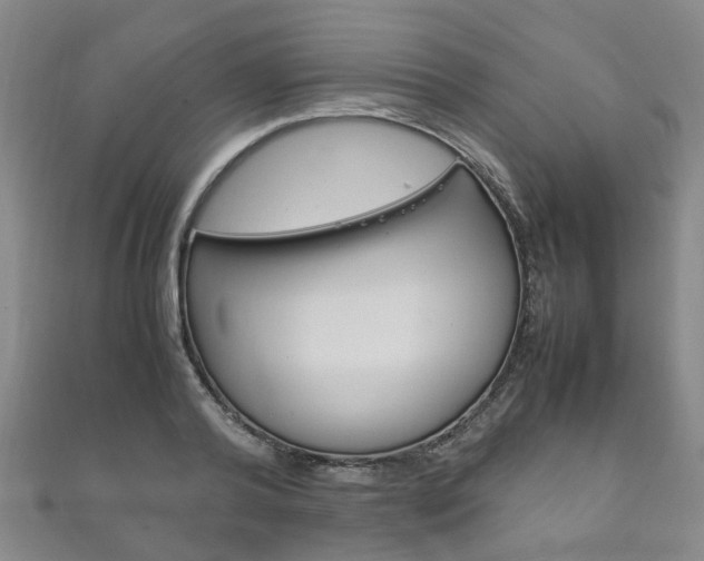 X0000111210792200907011050