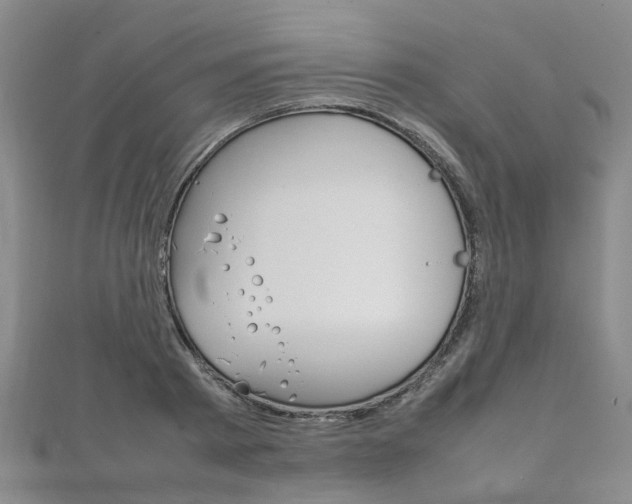 X0000111210793200907011050