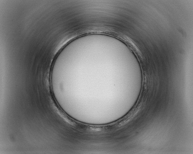 X0000111210794200907011050