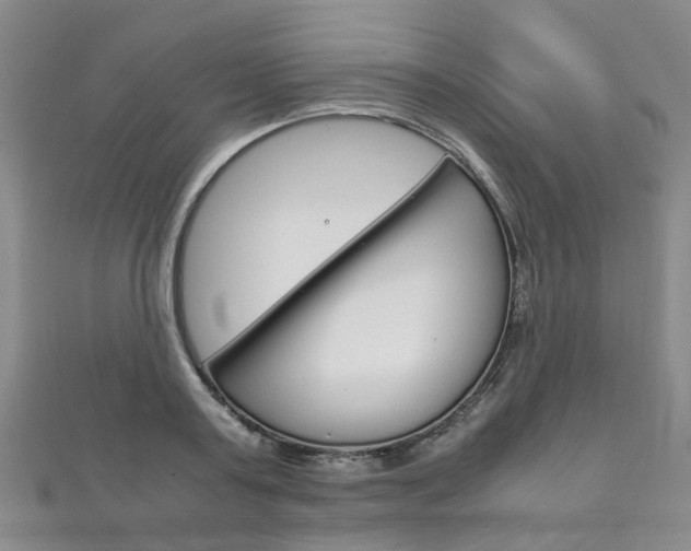 X0000111210795200907011050