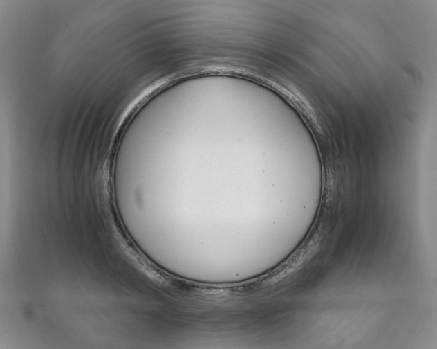 X0000111210798200907011050