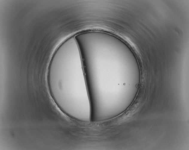 X0000111210799200907011050