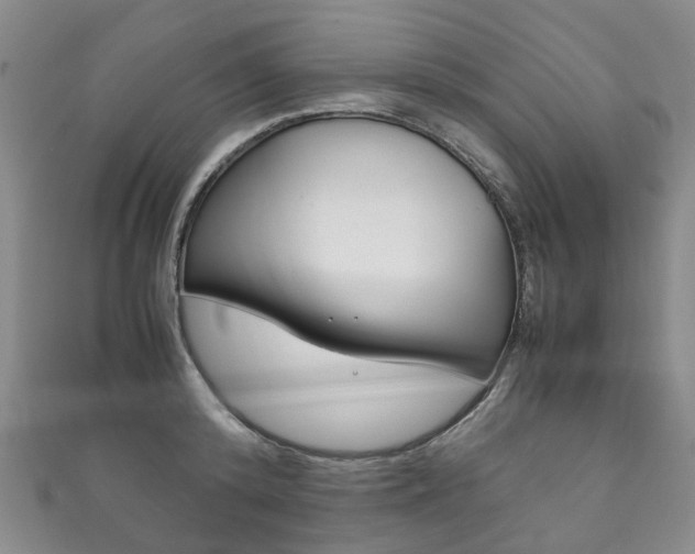 X0000111210800200907011050