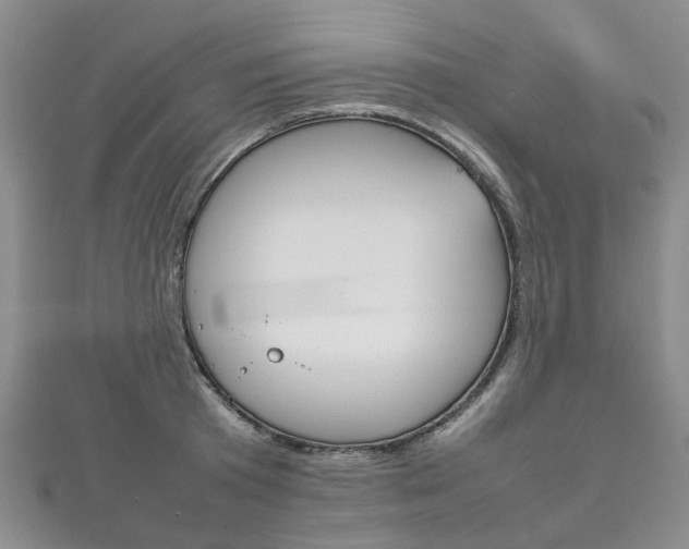 X0000111210801200907011050