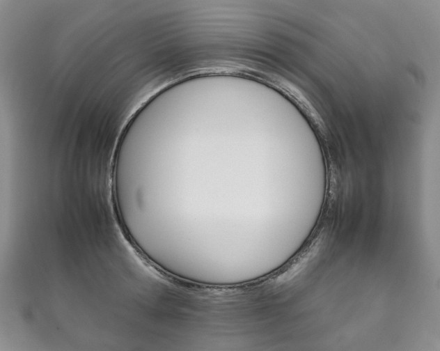 X0000111210802200907011050