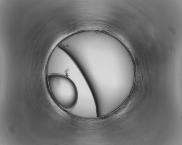 X0000111210803200907011050
