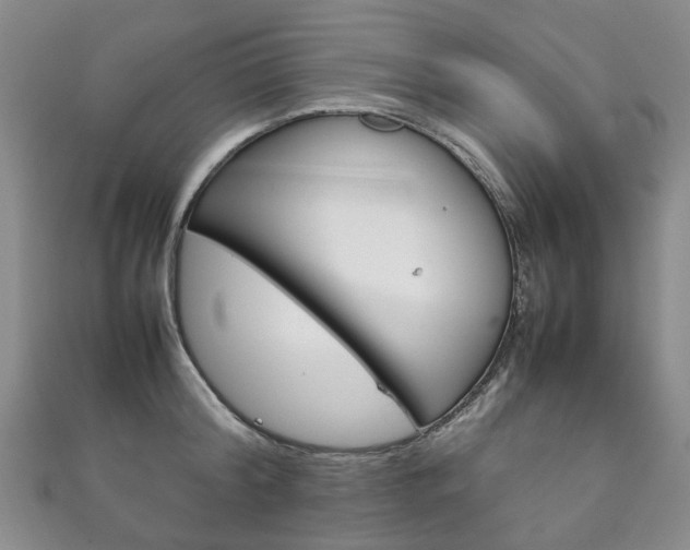 X0000111210804200907011050