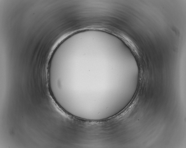X0000111210808200907011050