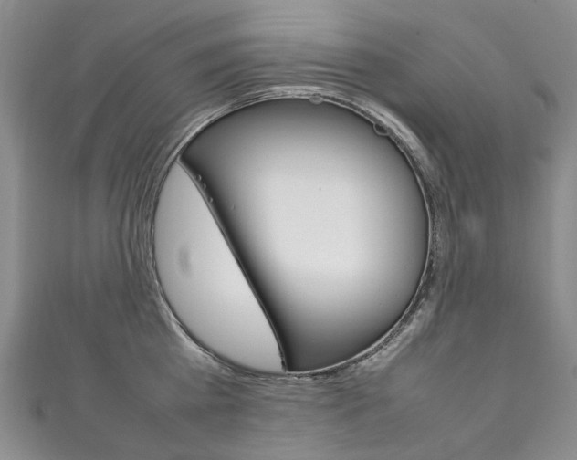 X0000111210809200907011050