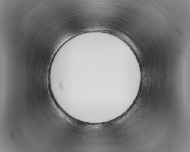 X0000111210810200907011050