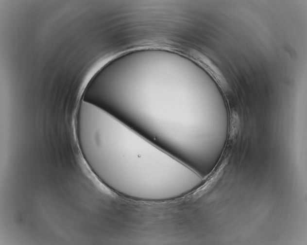 X0000111210812200907011049