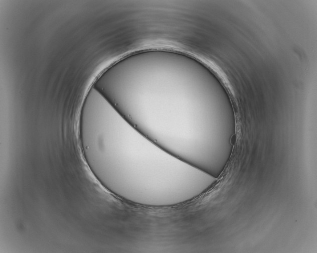 X0000111210815200907011049