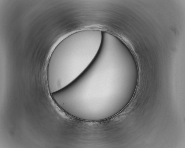X0000111210816200907011049