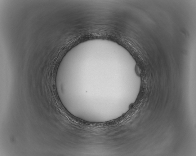 X0000111210817200907011049