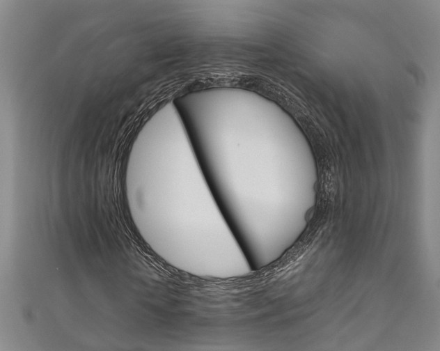 X0000111210818200907011049