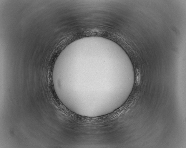 X0000111210819200907011049