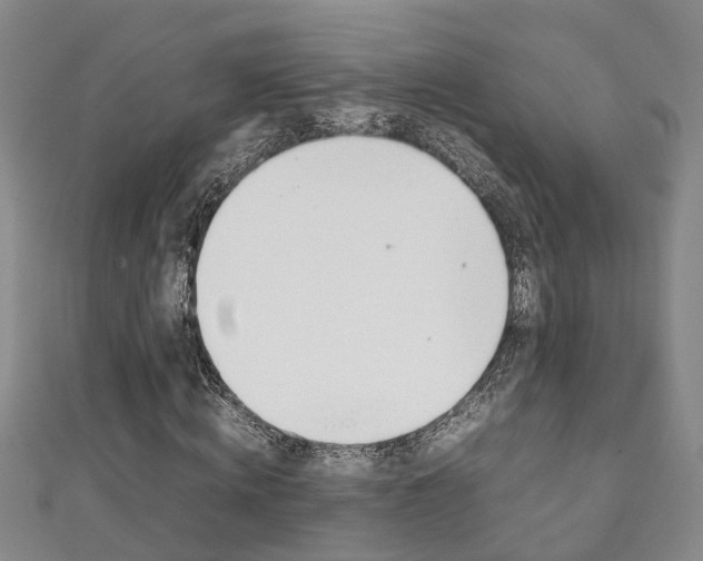 X0000111210820200907011049