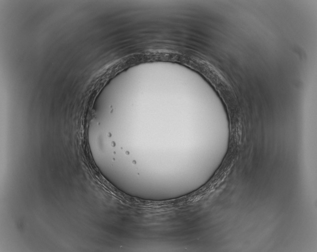 X0000111210821200907011049
