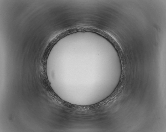 X0000111210823200907011049