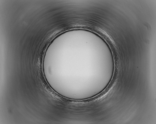 X0000111210825200907011049