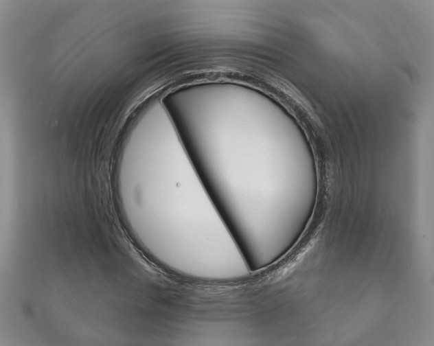 X0000111210826200907011049