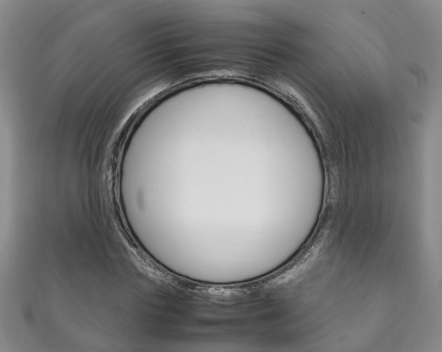 X0000111210827200907011049