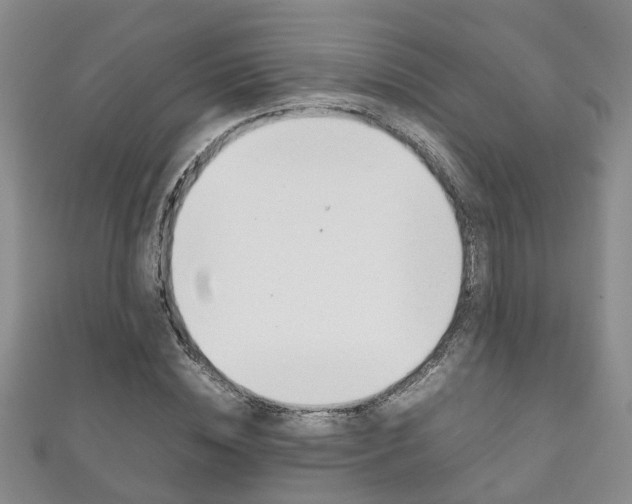 X0000111210828200907011049