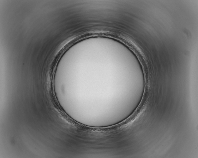 X0000111210829200907011049