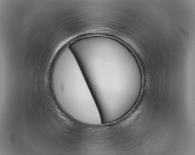 X0000111210830200907011049