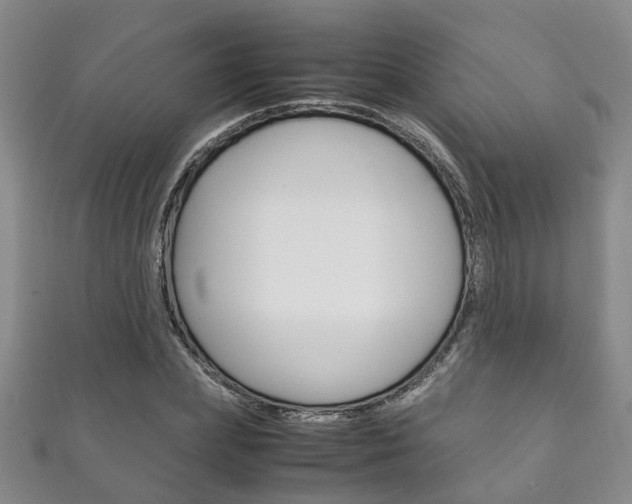 X0000111210831200907011049