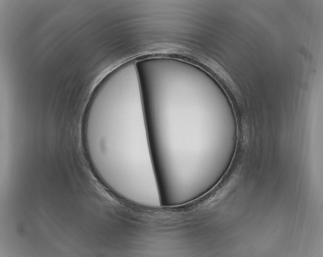 X0000111210834200907011049