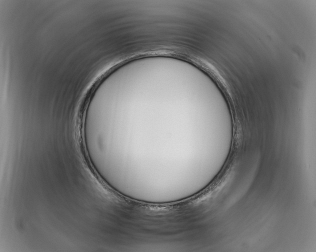 X0000111210835200907011049
