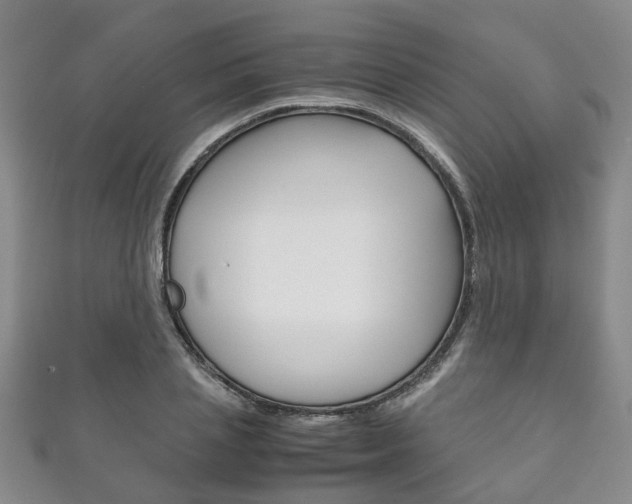 X0000111210837200907011049