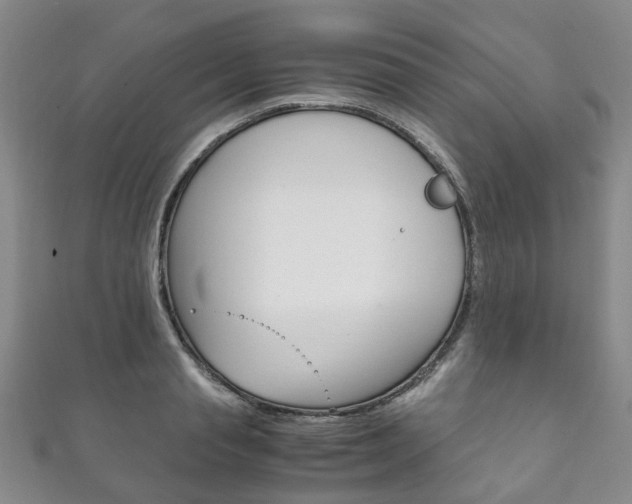 X0000111210845200907011049