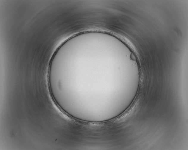 X0000111210847200907011049