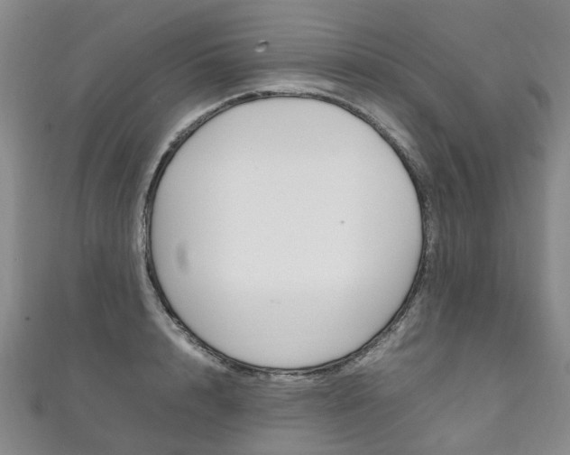 X0000111210848200907011049