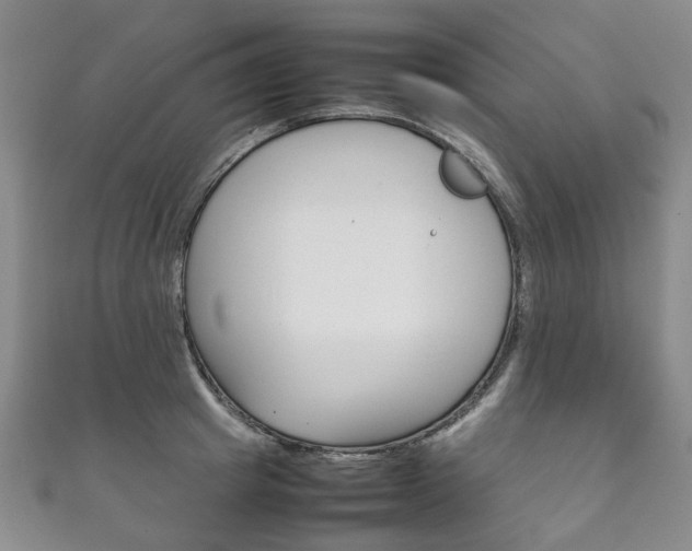 X0000111210849200907011049