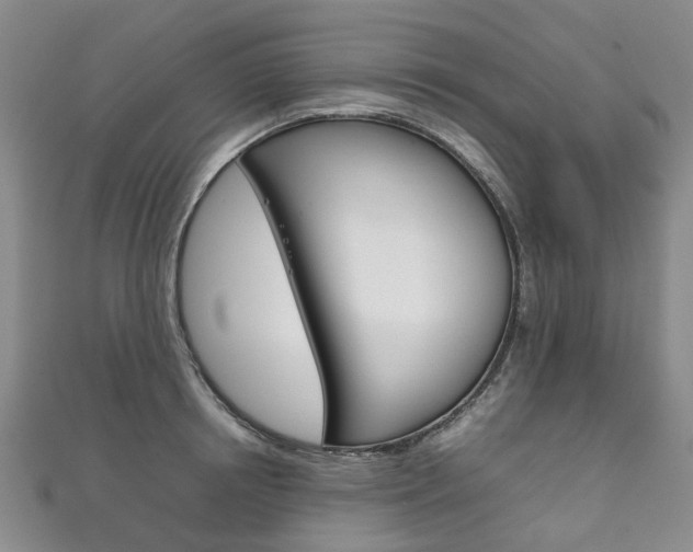 X0000111210850200907011049