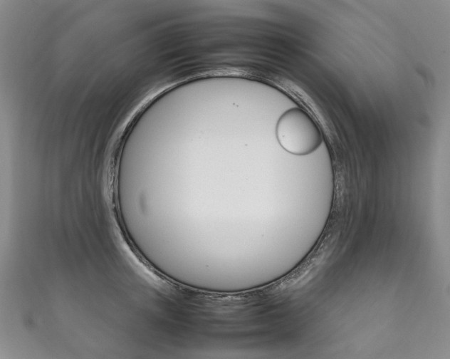X0000111210851200907011049