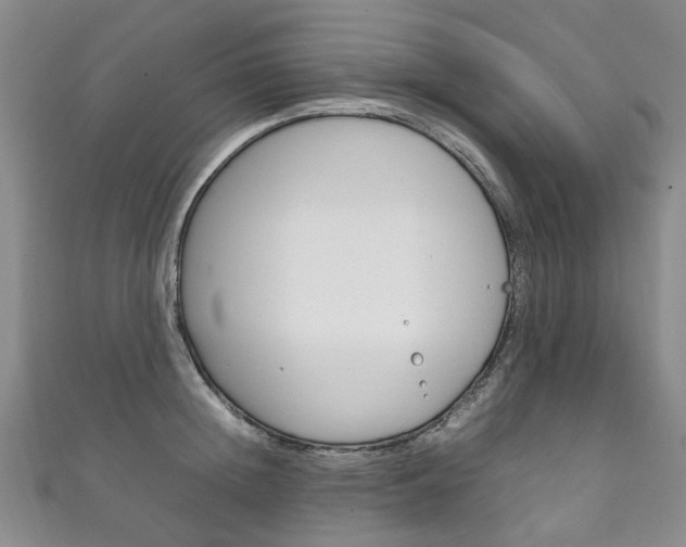 X0000111210852200907011049