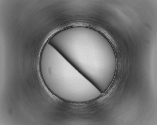 X0000111210853200907011049