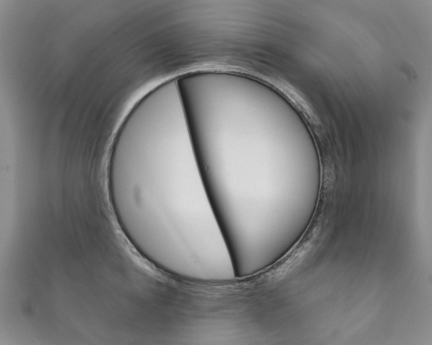 X0000111210854200907011049