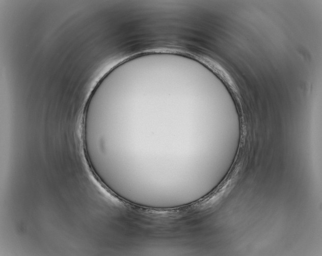 X0000111210855200907011049