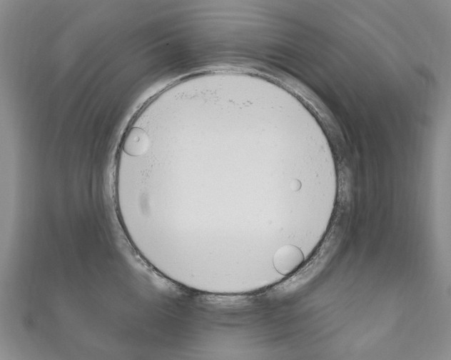X0000111210856200907011049