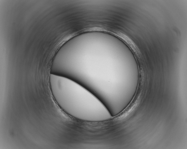 X0000111210857200907011049