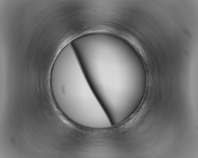 X0000111210858200907011049