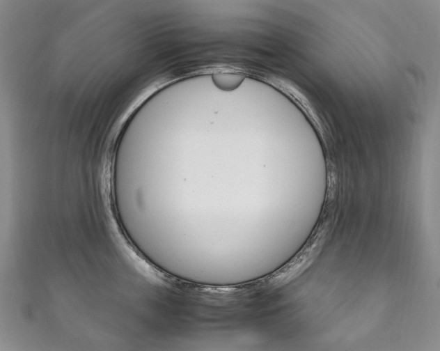 X0000111210859200907011049