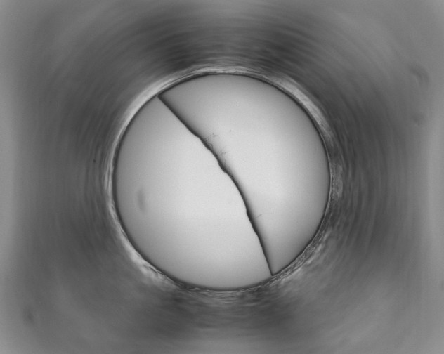 X0000111210861200907011049