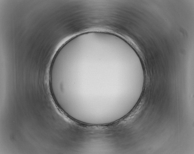 X0000111210862200907011049