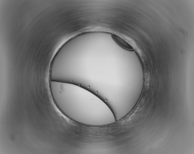 X0000111210863200907011049
